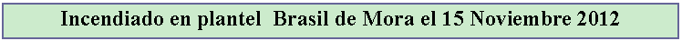 Cuadro de texto: Incendiado en plantel  Brasil de Mora el 15 Noviembre 2012