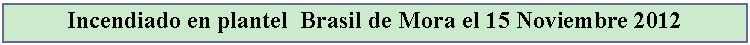 Cuadro de texto: Incendiado en plantel  Brasil de Mora el 15 Noviembre 2012